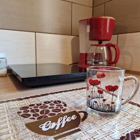 Ana Studio Vajdahunyad Kültér fotó
