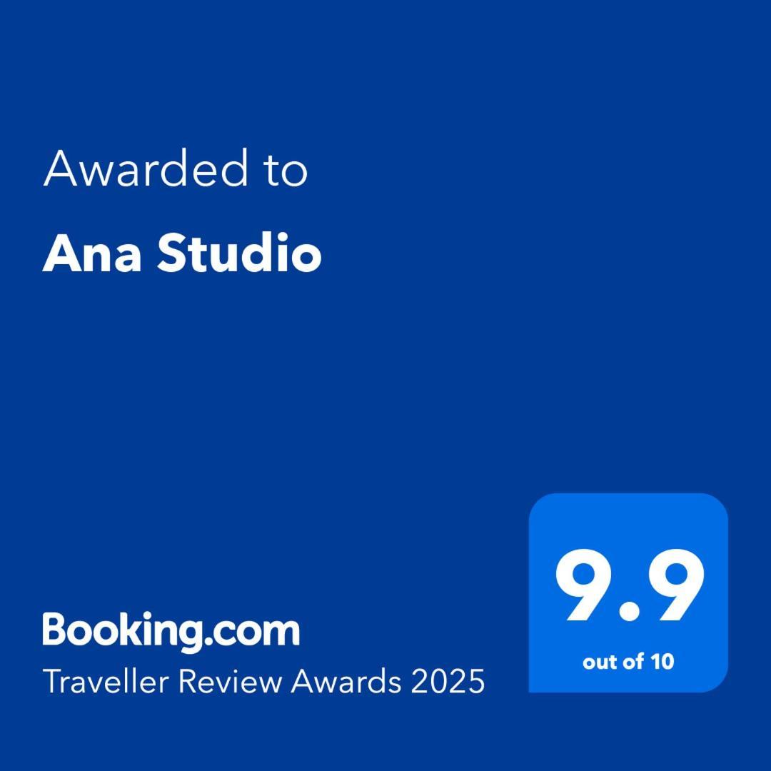 Ana Studio Vajdahunyad Kültér fotó